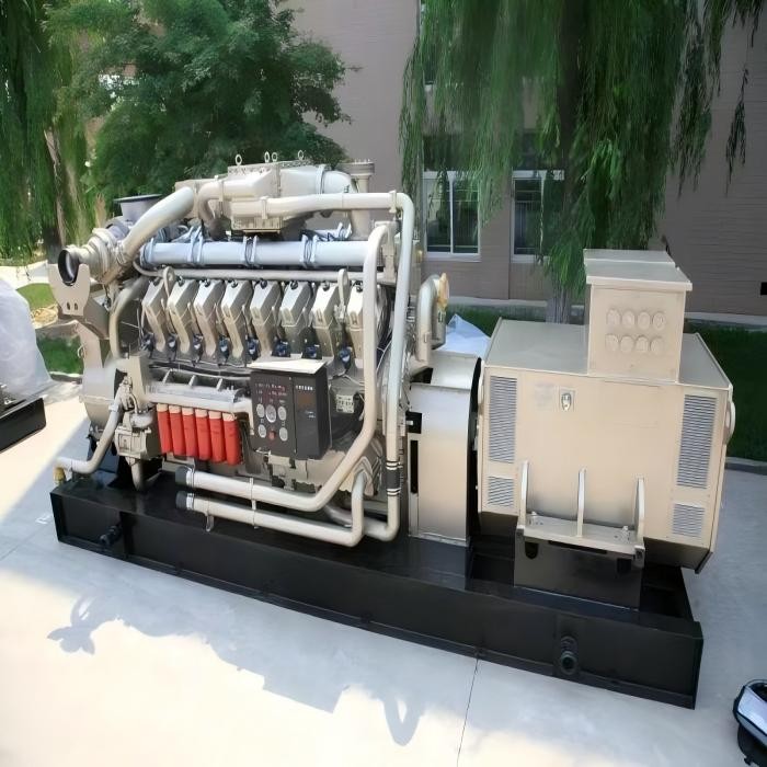 2000W Diesel generator